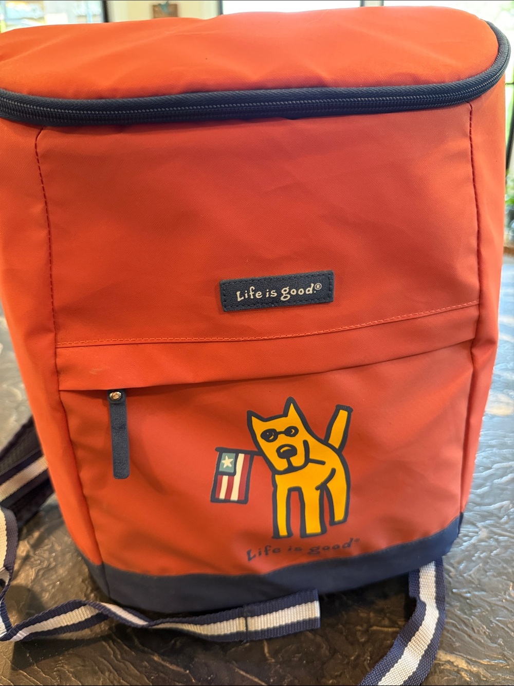 Life Is Good Orange Dog Graphic Pet Backpack with Navy Trim